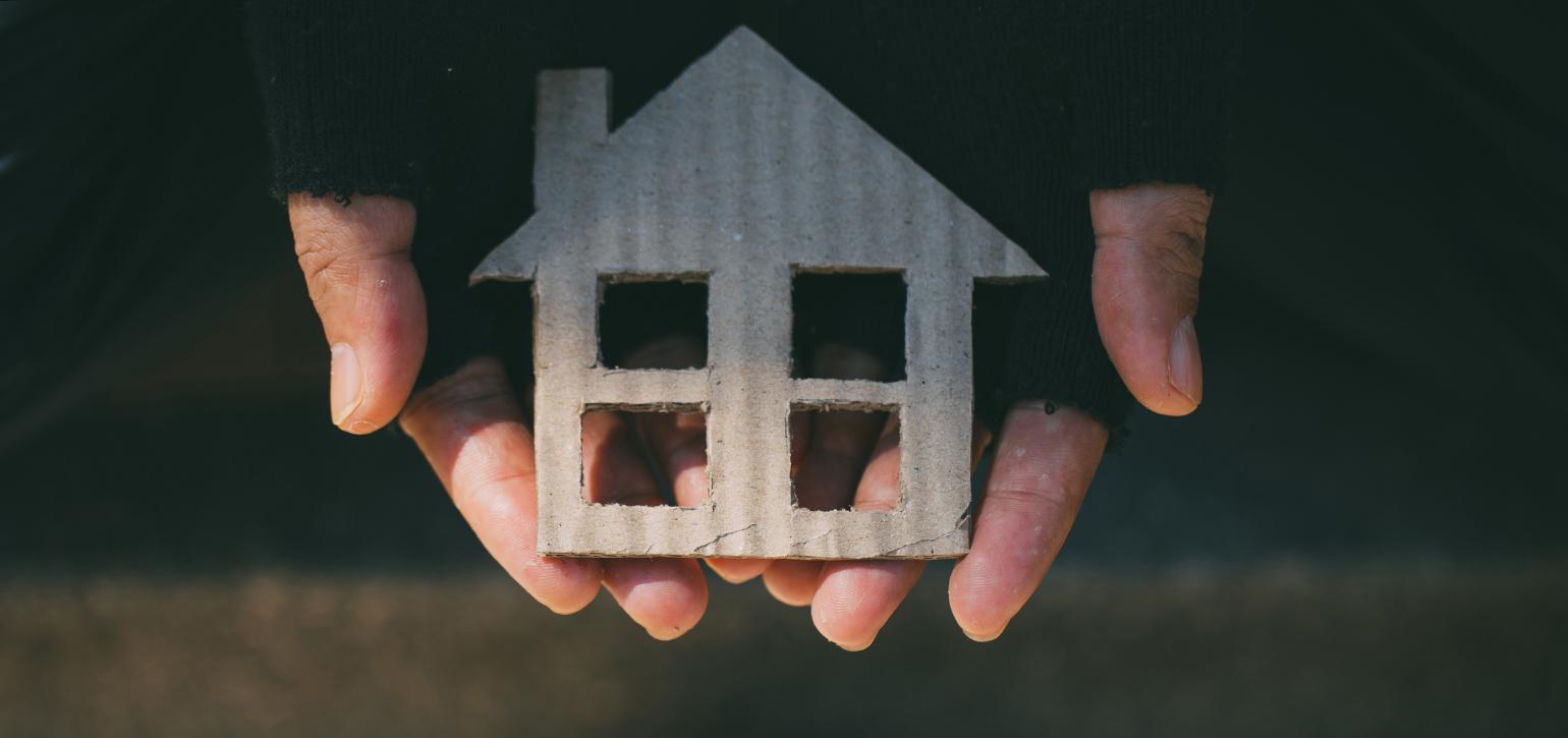 hands holding 3D house