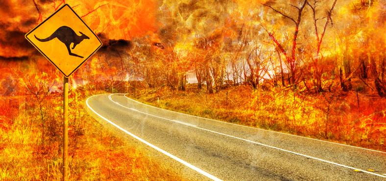 Bushfire on a rural australian road