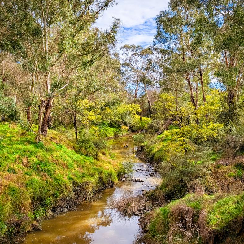 Planning for age based housing demand in Nillumbik