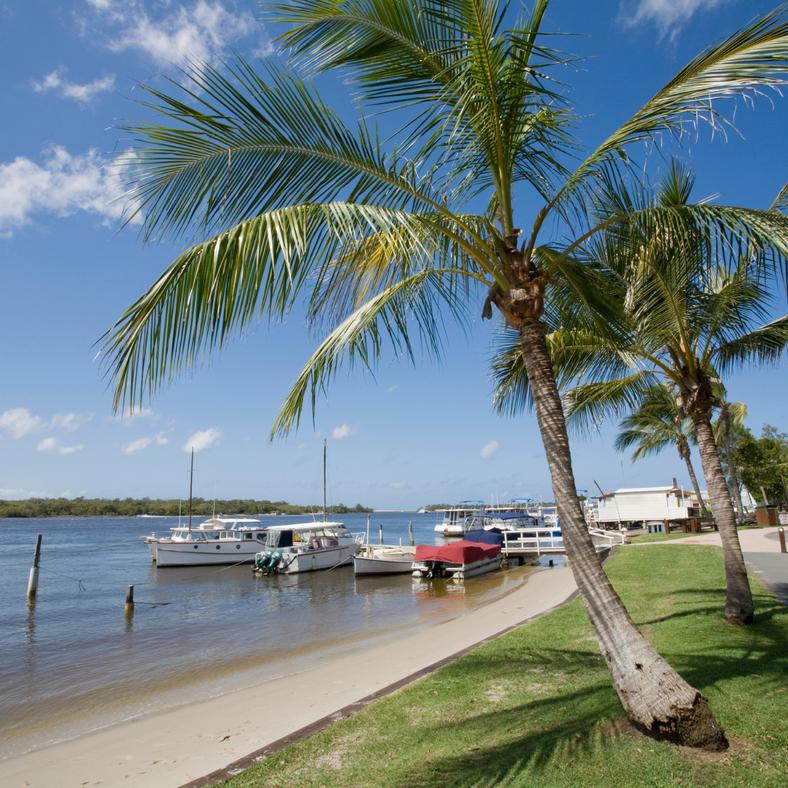 Noosa heads with palm tree and boats