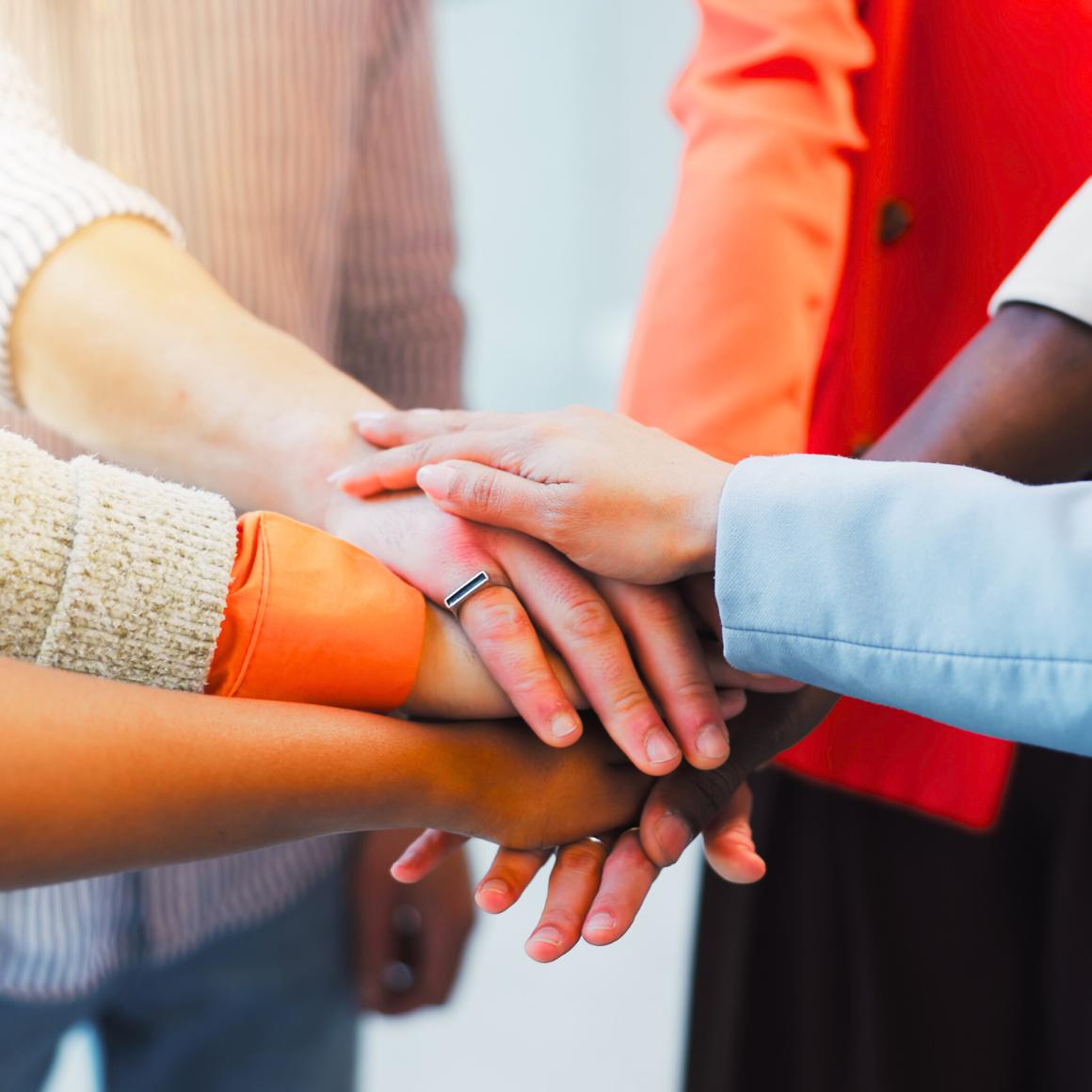 Informing Moreland's social cohesion plan