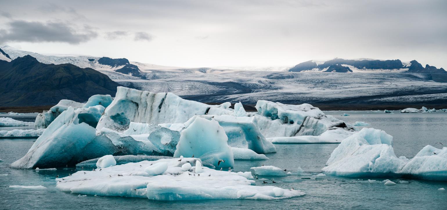 melting icebergs