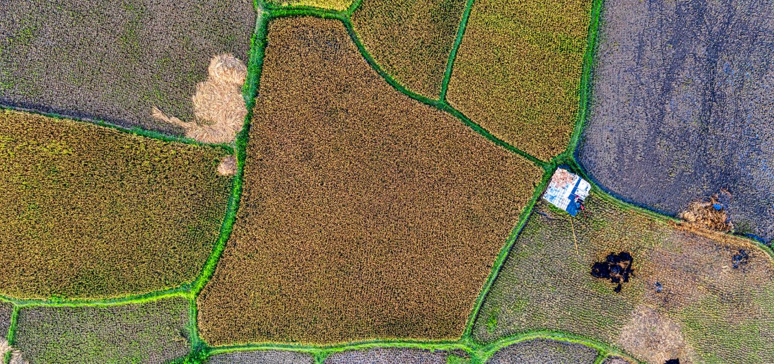 aerial view of land plots