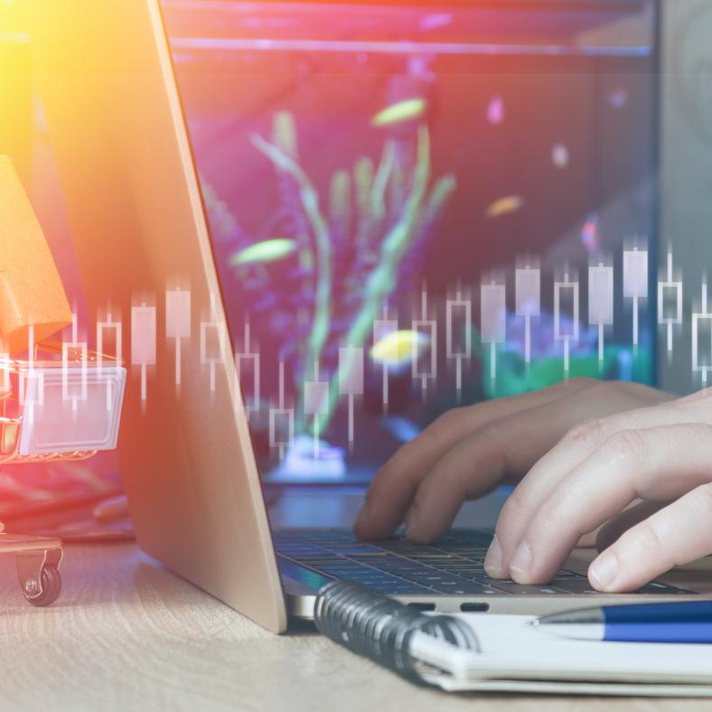 Campbelltown Economic Profile