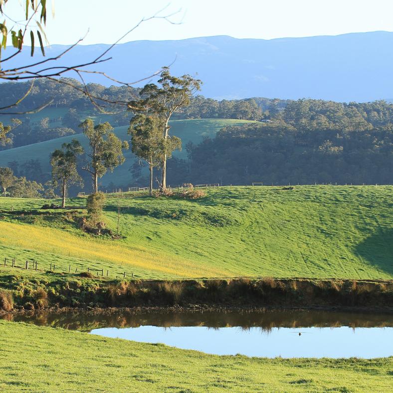 Community Views and Energy Transition in Gippsland
