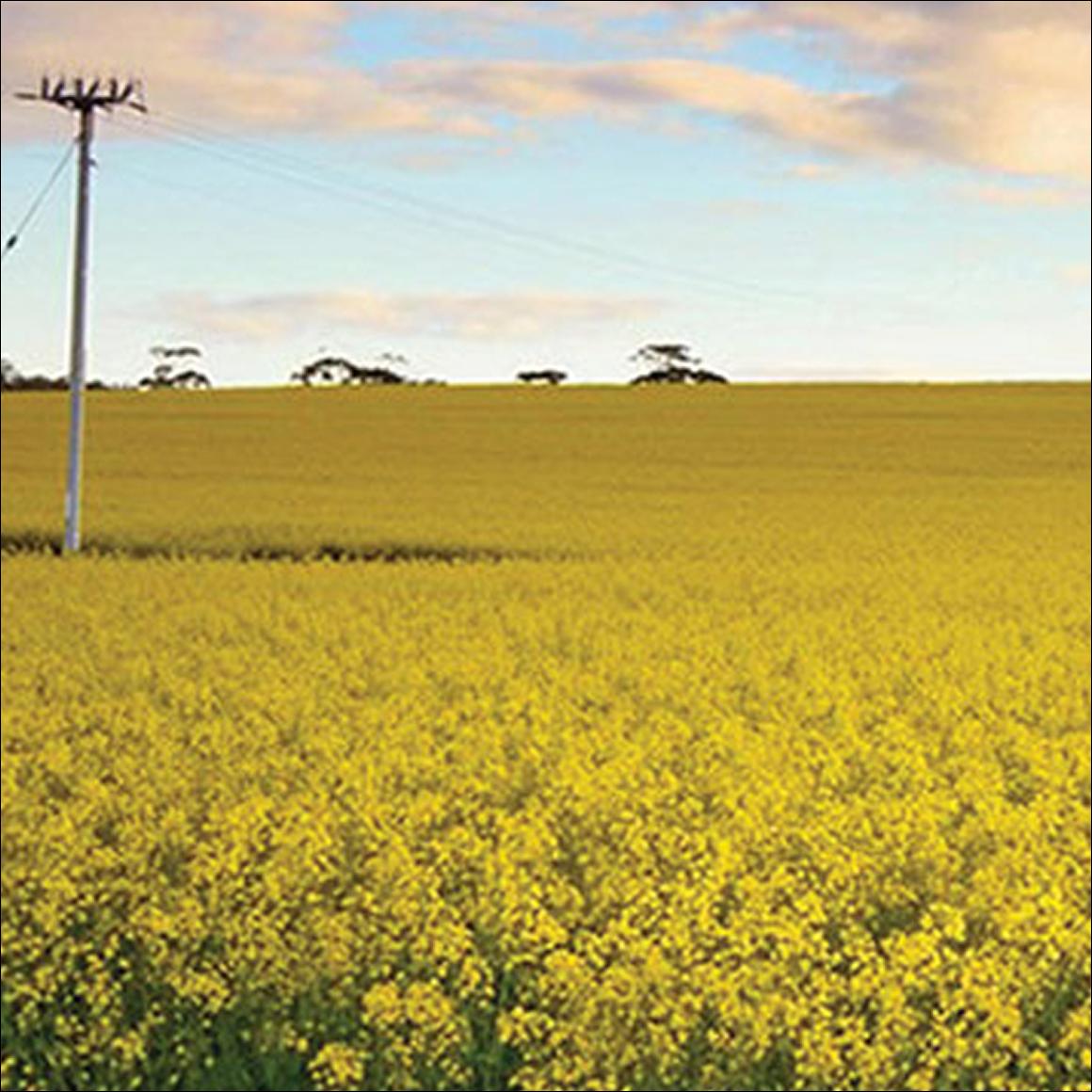 Economic appraisal of Beverley Multipurpose Community Centre
