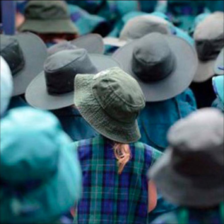 Planning for schools in established areas