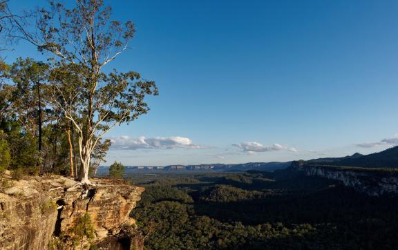 Central Queensland