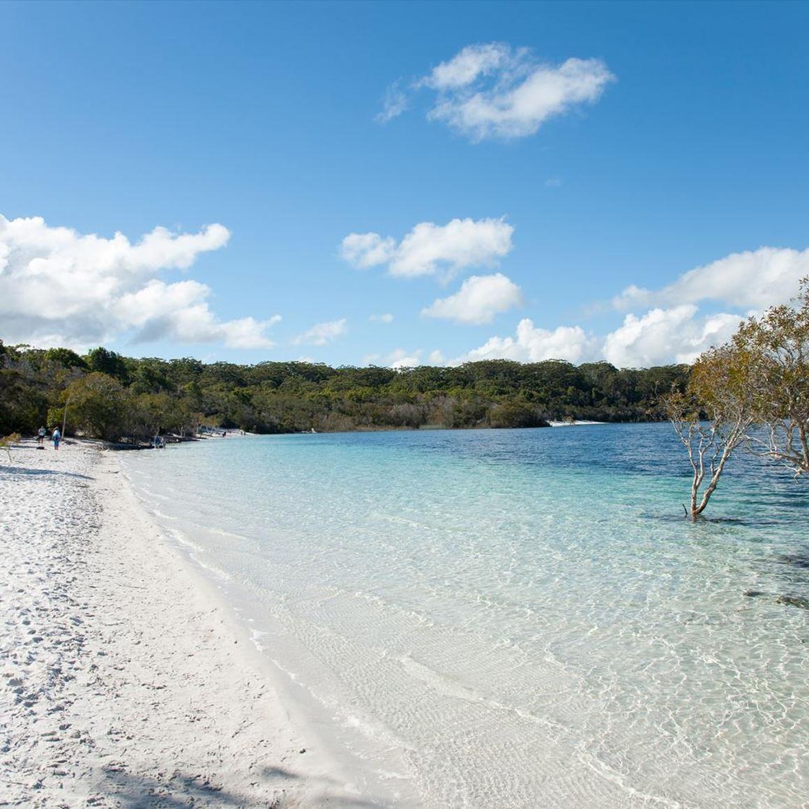 Economic Spotlight on Fraser Coast