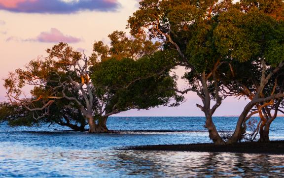 Moreton Bay - South
