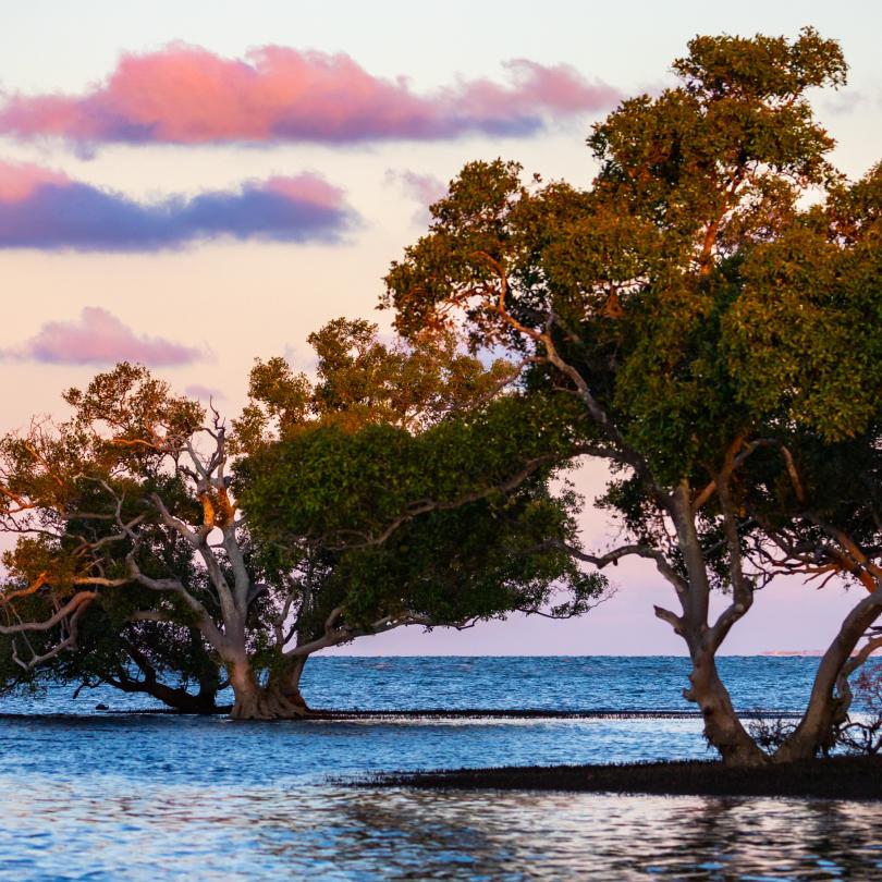 Moreton Bay - South