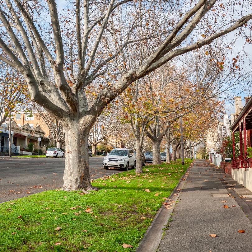 Northern Melbourne