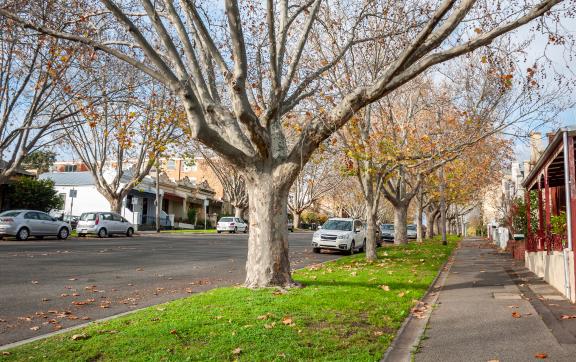 Northern Melbourne City Scape