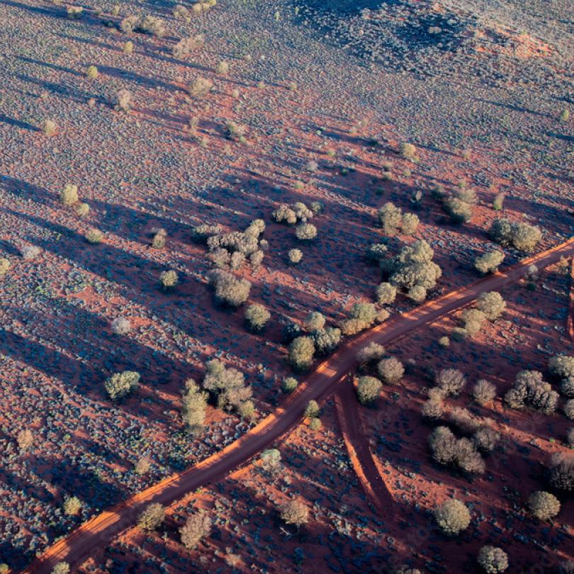 Northern Territory 