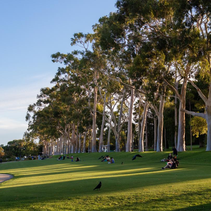Perth - South West