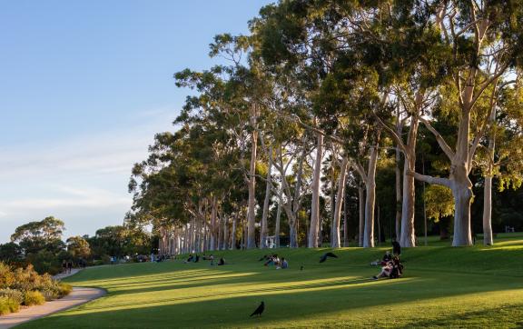 Perth - South West Region