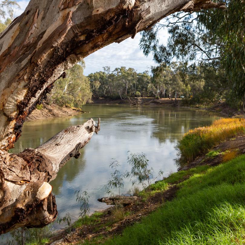 Riverina-Murray