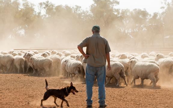 South Australia Outback