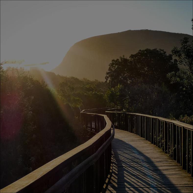 Understanding community views regarding the natural environment for Sunshine Coast Regional Council