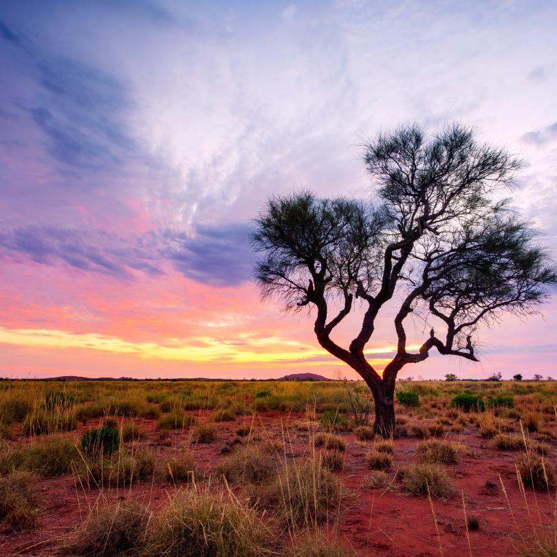 Western Australia Outback