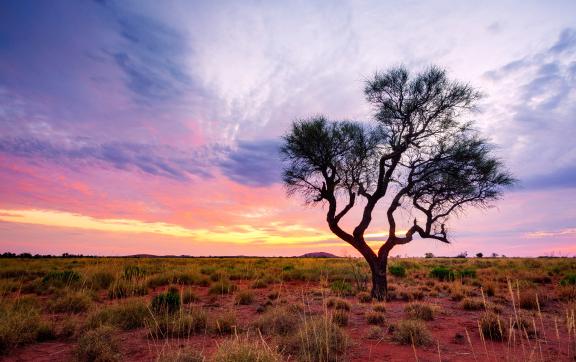 Western Australia Outback region