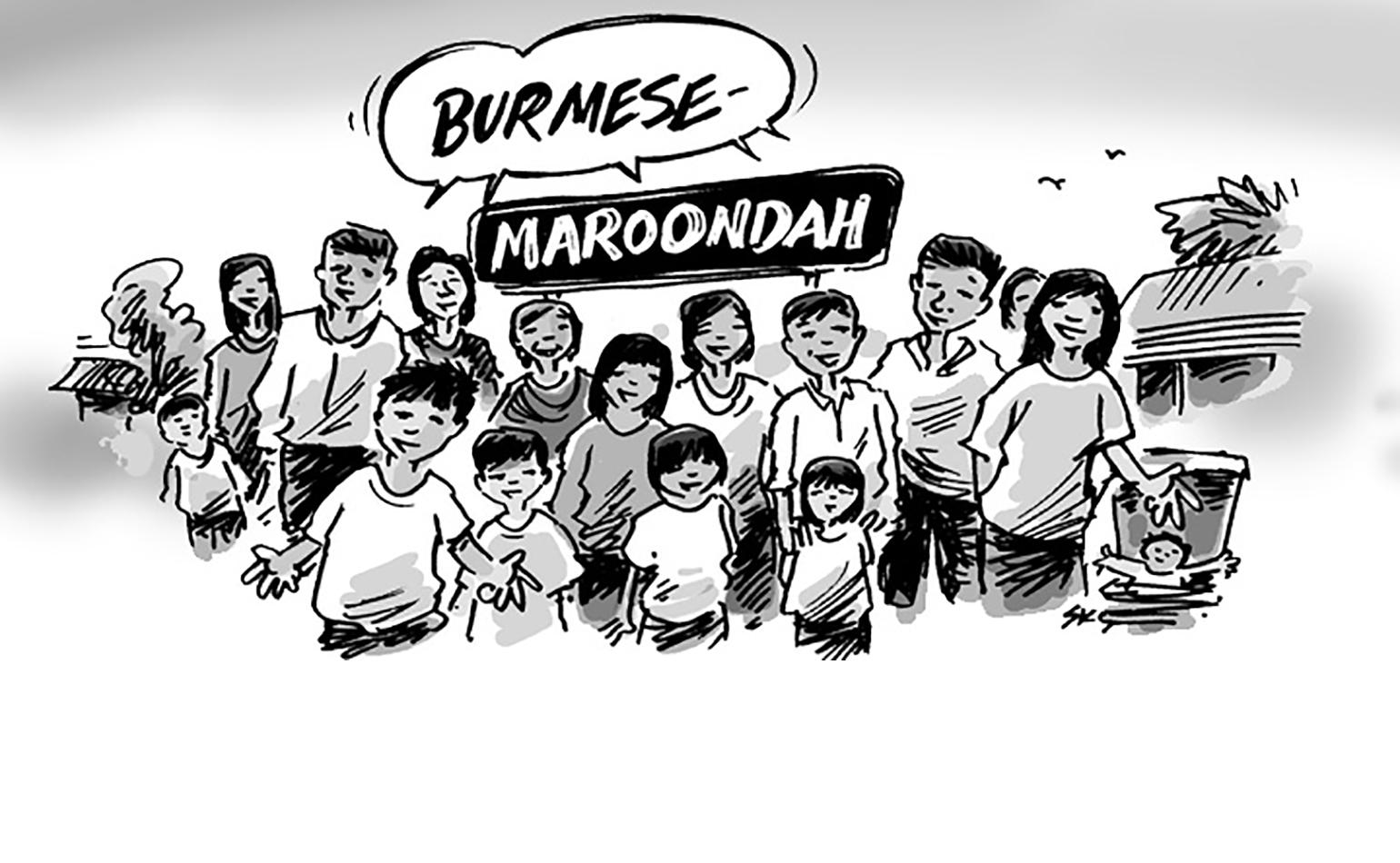 burmese-maroondah-pic