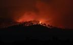bushfire