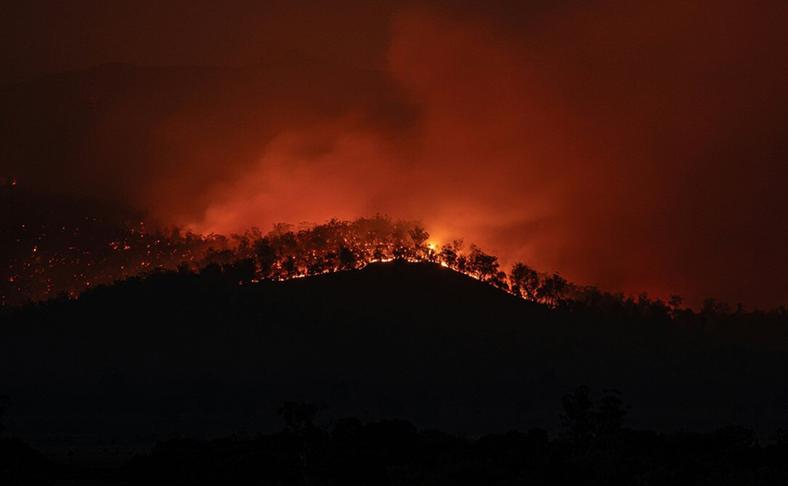 bushfire