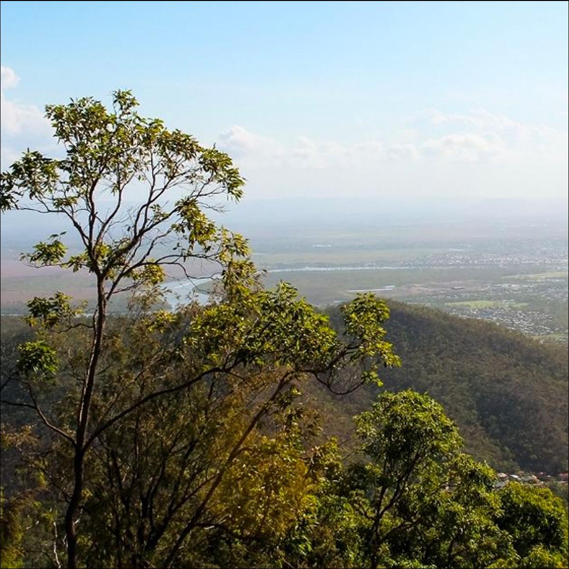 Building the economic evidence base for Rockhampton's next economic strategy