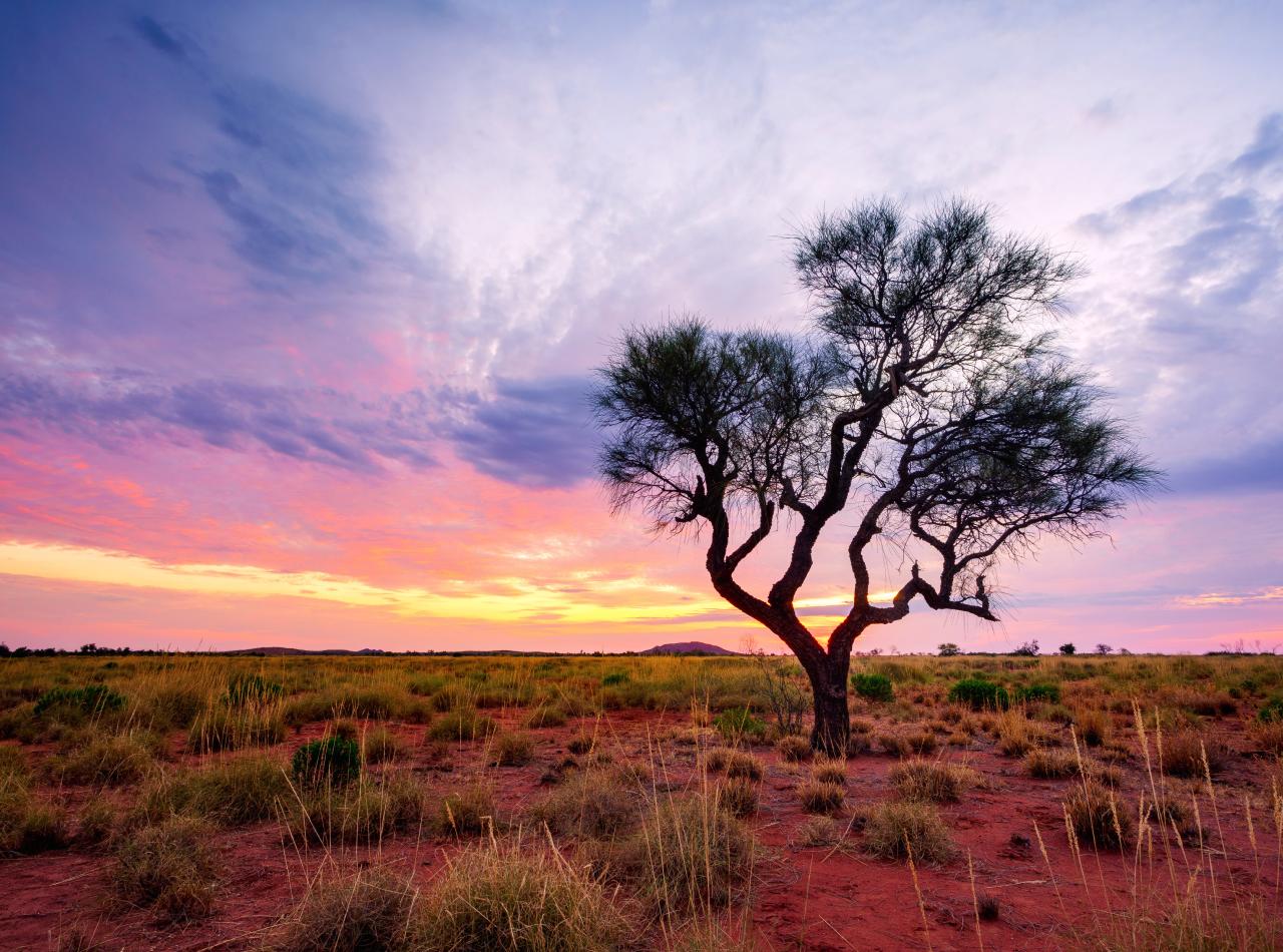 Western Australia has an ageing population, but there are plenty of kids on the way