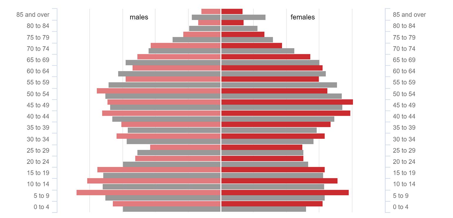 Animated population pyramids – now in community profile