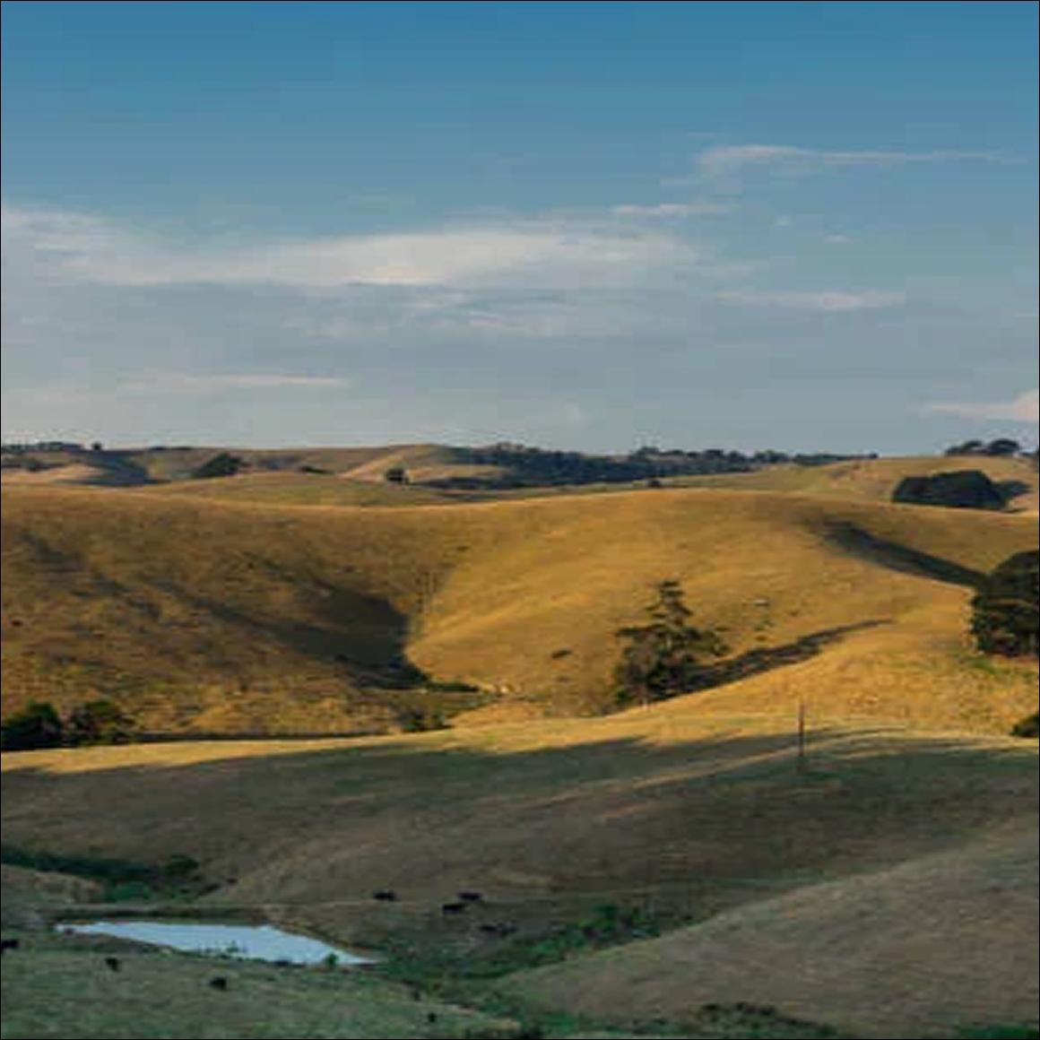 Community Views and Energy Transition in Gippsland